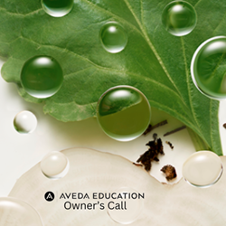 Webinar - Aveda Atlantic Owner's Call - August 31st, 2026